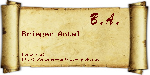 Brieger Antal névjegykártya
